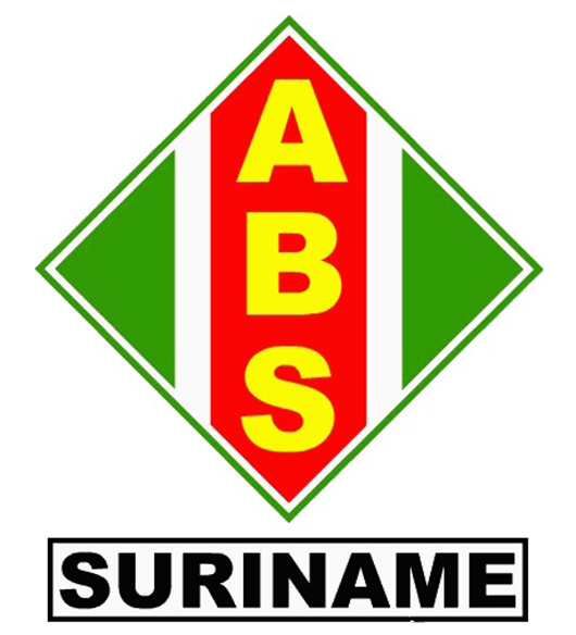 Household Surveys in Suriname